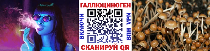 Галлюциногенные грибы MAGIC MUSHROOMS Иваново
